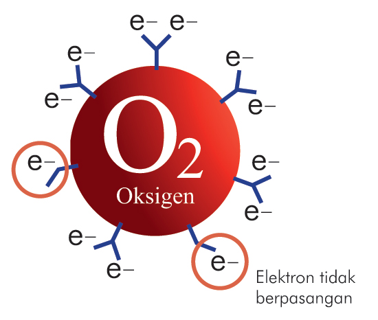 Radikal Bebas